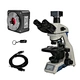 C Mount USB3.0 CMOS Microscope Camera